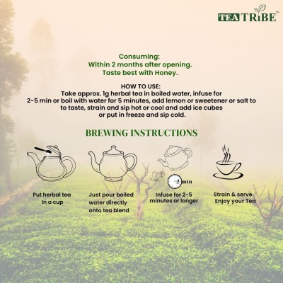 TULSI GREEN TEA CLASSIC