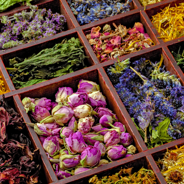 The History and Healing Power of Herbal Tea