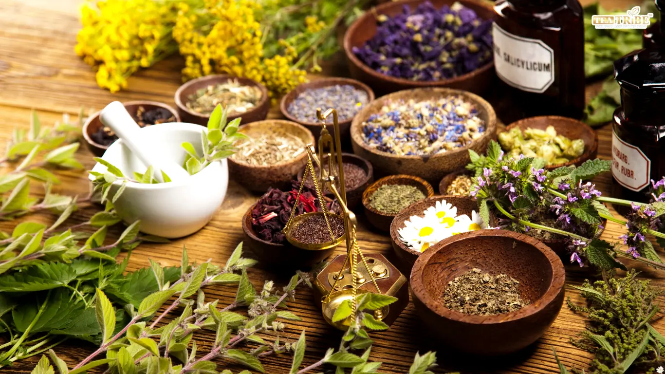 7 Best Herbal Teas for Summers: Cooling Herbs to Beat the Heat Naturally